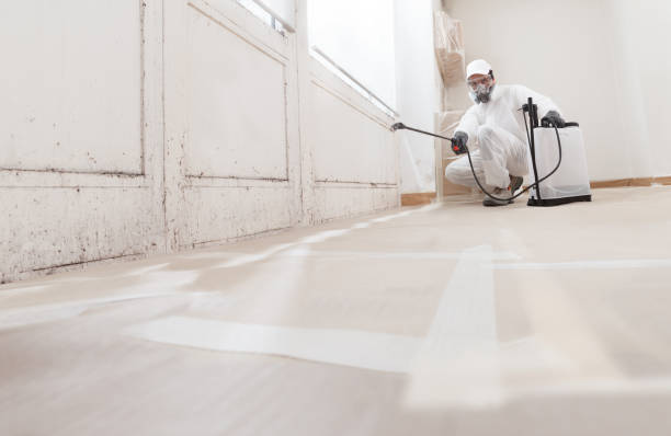24/7 Emergency Attic Mold Remediation experts in Madison, TN